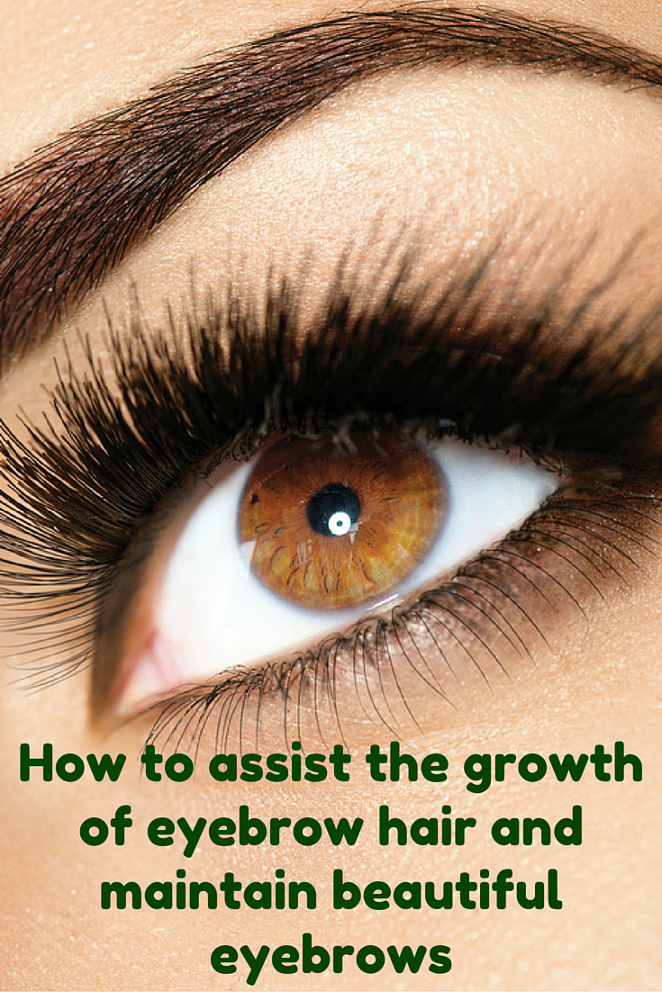 41+ How To Grow More Hair On Your Eyebrows
 PNG