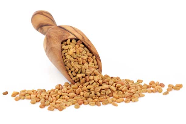 Fenugreek seeds