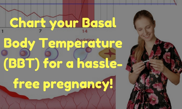 BBT Charting For A Hassle-Free Pregnancy