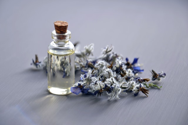 Borage oil care