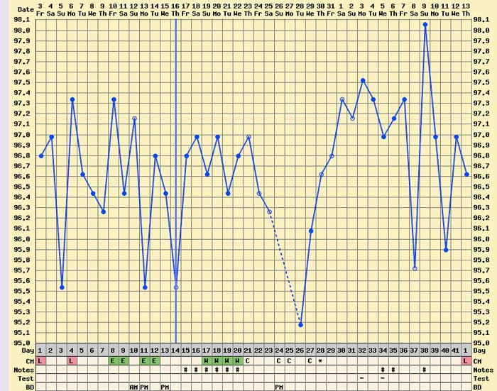 Why am I not getting pregnant? 11 Possible reasons you shouldn’t ignore 3 Anovulatory-1