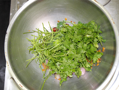 Coriander-Chutney-Recipe-8