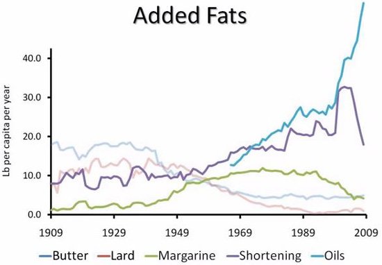 Fat consumption in USA