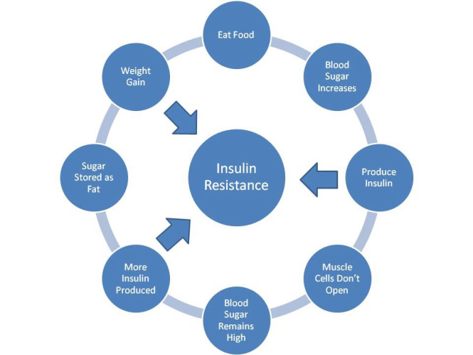 What is insulin resistance (syndrome)? 3 Insulin resistance vicious cycle