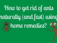 How To Get Rid Of A Dry Cough Fast Naturally How To Get Rid Of A Dry Cough Fast Naturally