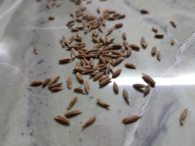 Cumin seed