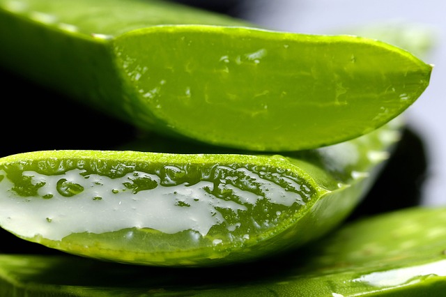 DIY Aloe Vera Soap