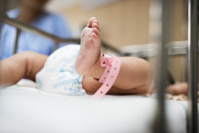 The benefits of eating Beetroot during pregnancy 6 Prevent Birth Defects