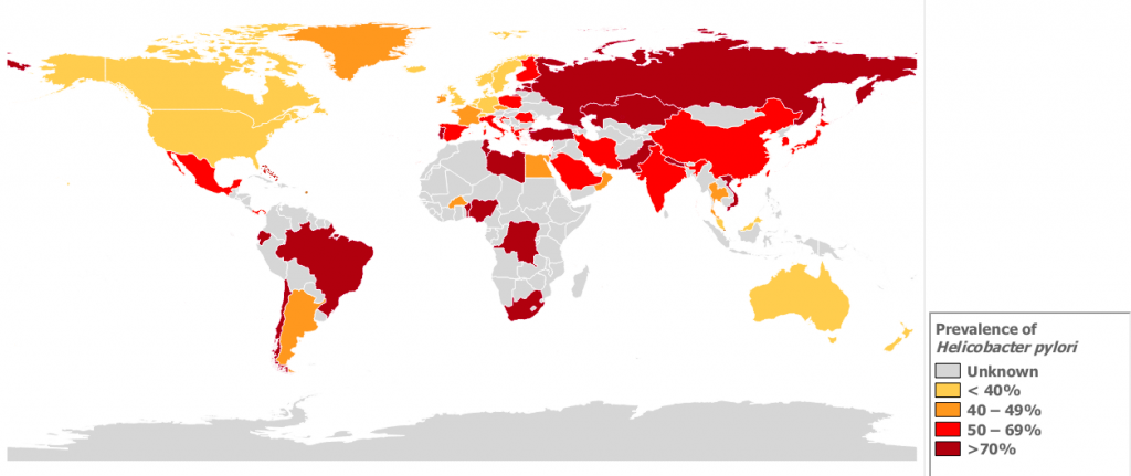 Prevalence of H Pylori