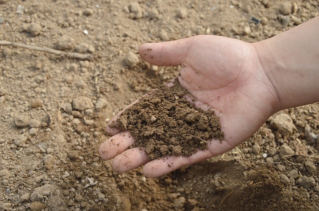 10 Working Ways to Improve Your Garden Soil 1 10 Working Ways to Improve Your Garden Soil