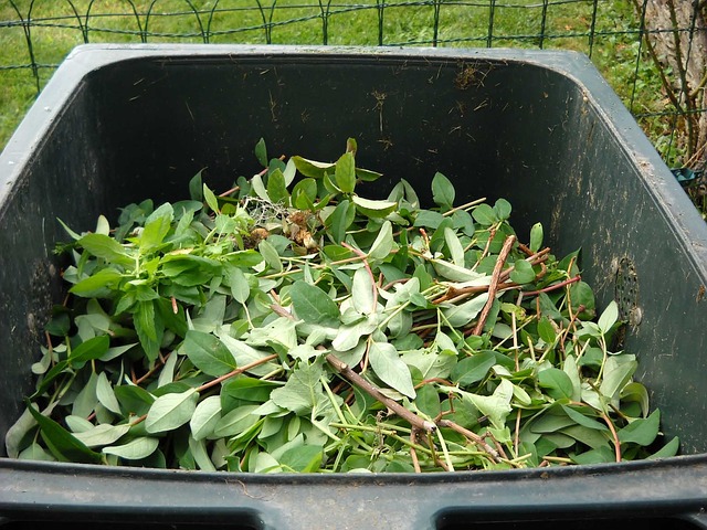 10 Working Ways to Improve Your Garden Soil 3 Try composting