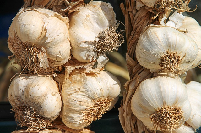 Treating earache with home remedies 7 garlic