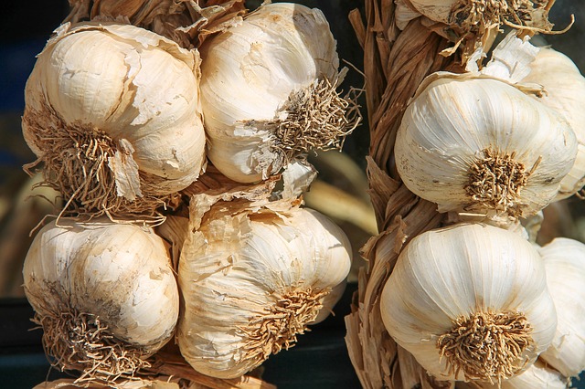 garlic