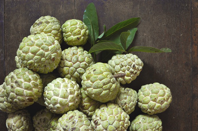 Benefits-Of-Custard-Apple-During-Pregnancy