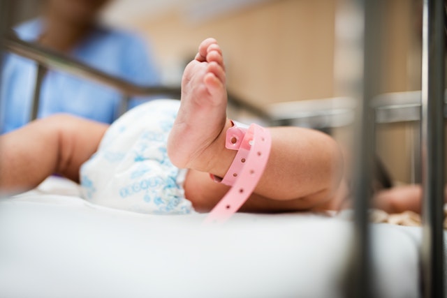 Benefits Of Custard Apple During Pregnancy 3 Reduces chances of premature births