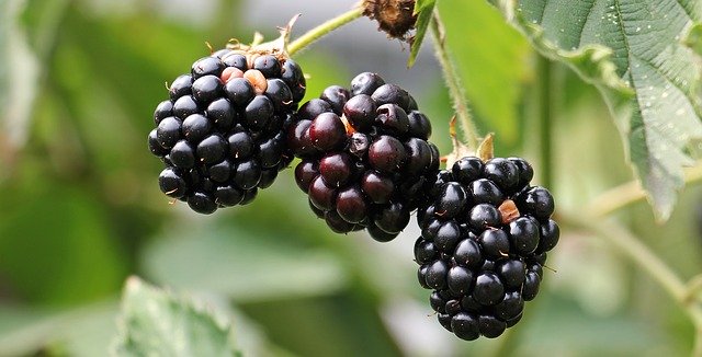 Foods to eat when you're dehydrated 9 Foods to eat when you're dehydrated 1