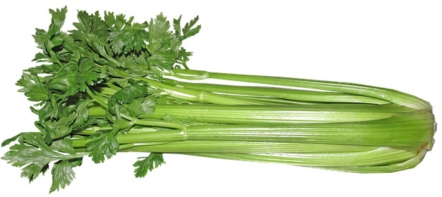 Celery