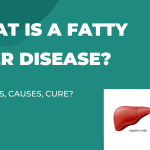 What Is A Fatty Liver Disease? What Are The Causes? What Are The Symptoms? Is There A Cure?